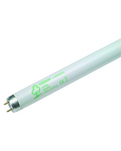 TL TUBE T8/G13 3350LM 36W CW