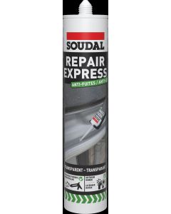 REPAIR EXPRESS DAK 290ML