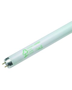 TL TUBE T8/G13 5200LM 58W WW