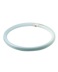 TL CIRCLINE T8/G13 3200LM 40W CW