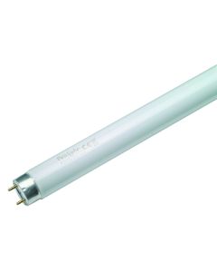 TL TUBE T8/G13 58W CW