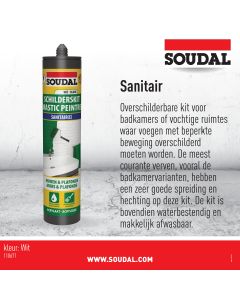 Schilderskit Sanitair Wit 290ml