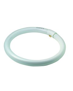 TL CIRCLINE T8/G13 2250LM 32W CW