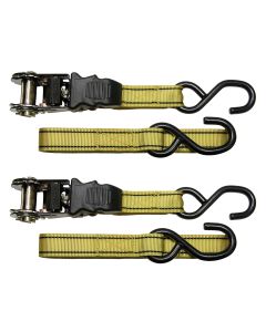 Carpoint Spanbandenset luxe met ratel 2 x 5 meter
